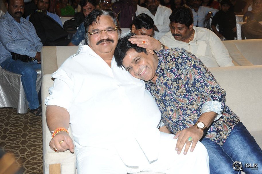 Malupu-Movie-Audio-Launch